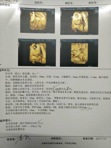 journal_insert_pic_788856692