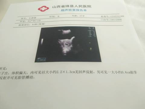 journal_insert_pic_788605585