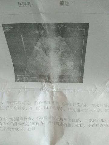 journal_insert_pic_788585206