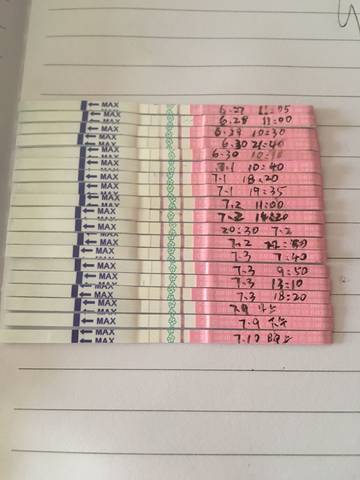 journal_insert_pic_789030993