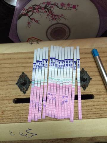 journal_insert_pic_789258259