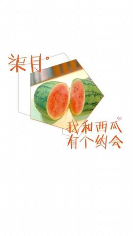 journal_insert_pic_789291578