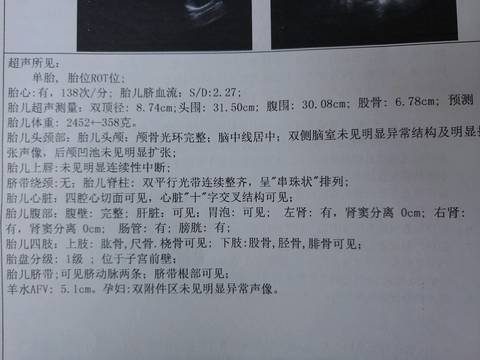journal_insert_pic_789345564