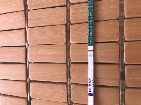 journal_insert_pic_789141181