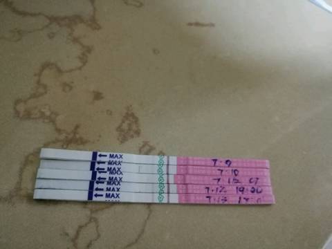 journal_insert_pic_790943086