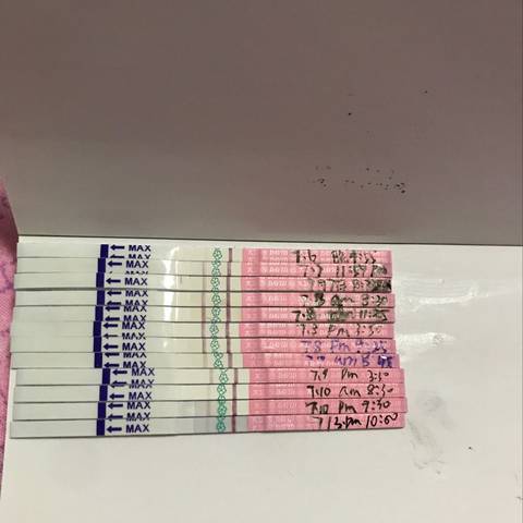 journal_insert_pic_791035833