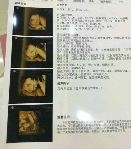 journal_insert_pic_791509806