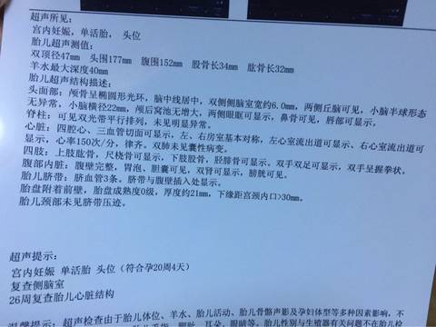 journal_insert_pic_792501573
