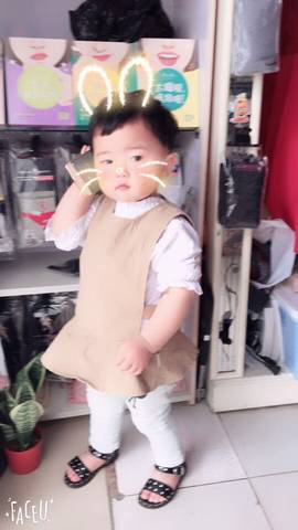 journal_insert_pic_792569409