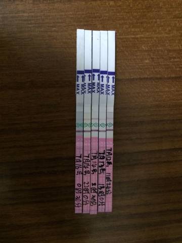 journal_insert_pic_792535002