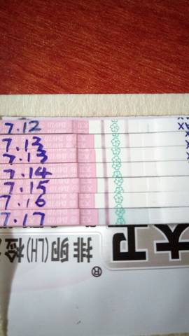journal_insert_pic_793462094