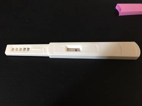 journal_insert_pic_793570982