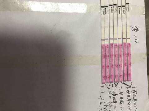 journal_insert_pic_793371170
