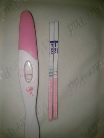 journal_insert_pic_793329034