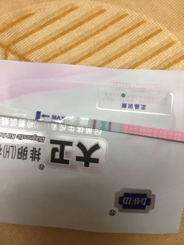 journal_insert_pic_794462306