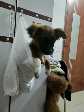 journal_insert_pic_794644011