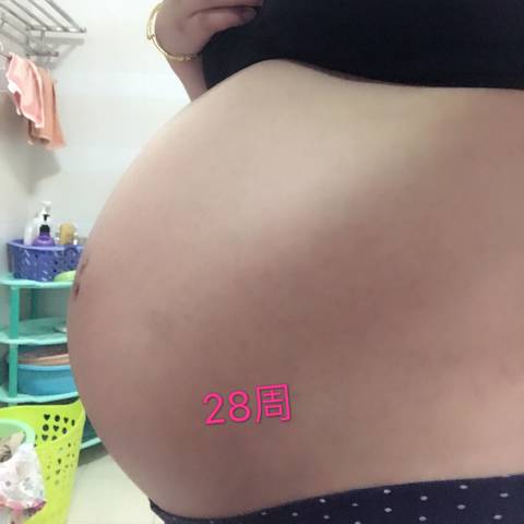 journal_insert_pic_794825187