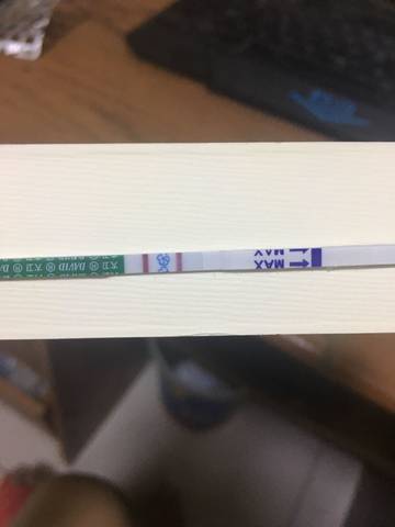 journal_insert_pic_794802054