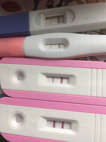 journal_insert_pic_794753598