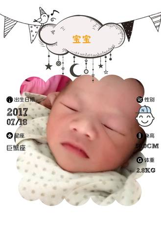 journal_insert_pic_795495069