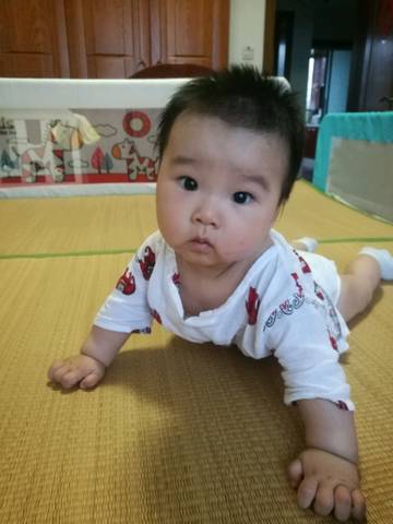 journal_insert_pic_795450591