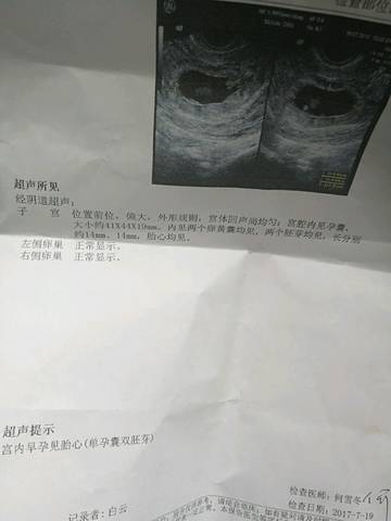 journal_insert_pic_795435809