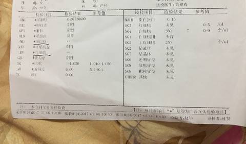 journal_insert_pic_796293329