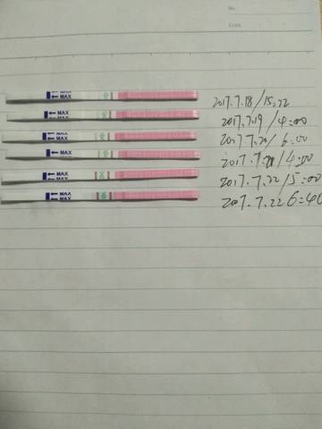journal_insert_pic_797324649