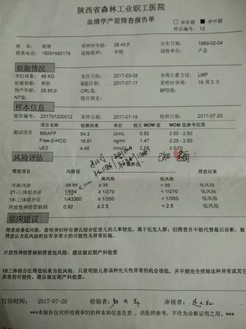 journal_insert_pic_797132332