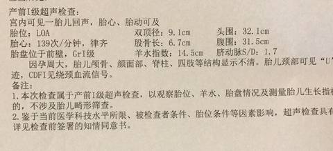 journal_insert_pic_797110301