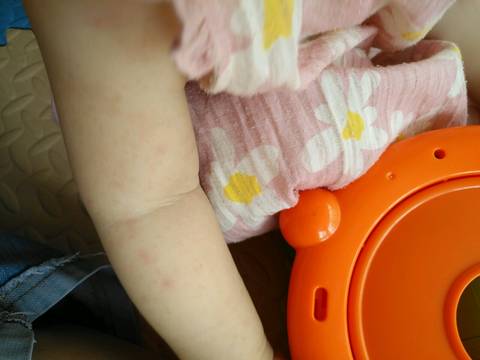 journal_insert_pic_798044092