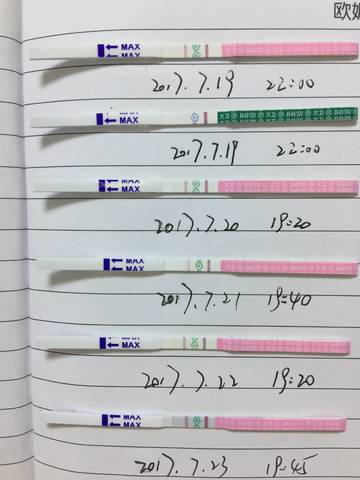 journal_insert_pic_798146722