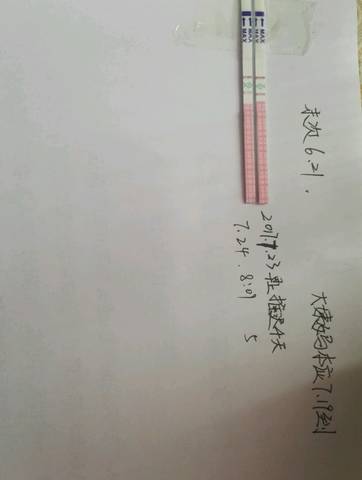 journal_insert_pic_798502653
