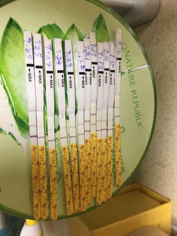 journal_insert_pic_799807636