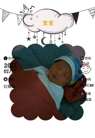 journal_insert_pic_800162677