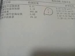 journal_insert_pic_800327014