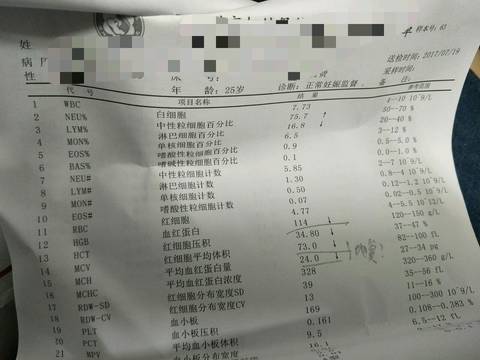 journal_insert_pic_801275108