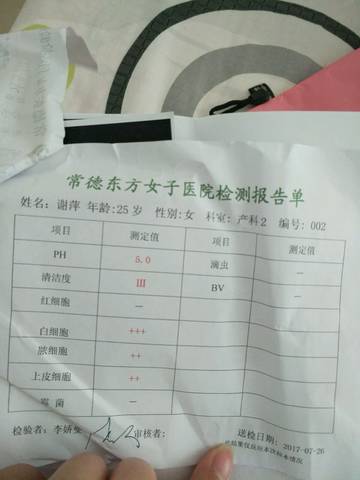 journal_insert_pic_800908459