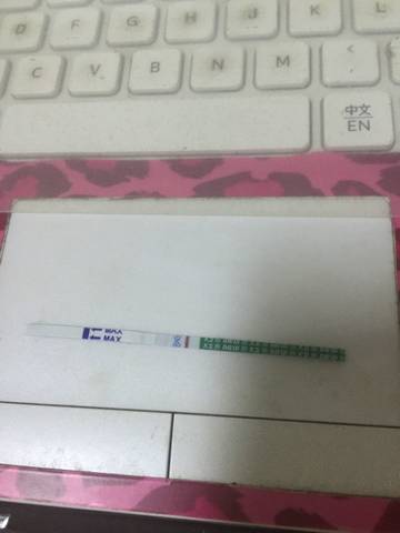 journal_insert_pic_801123952