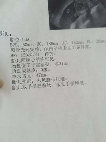 journal_insert_pic_801673456