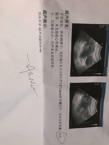 journal_insert_pic_802634531
