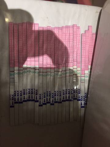 journal_insert_pic_803324371