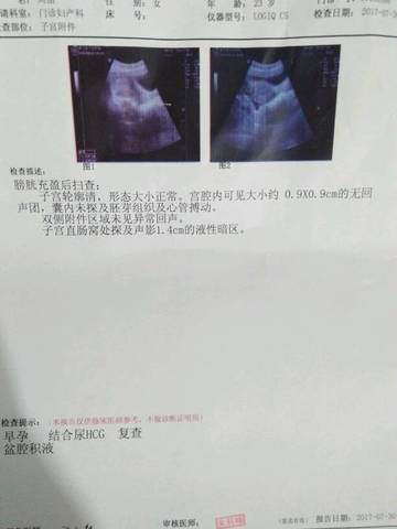 journal_insert_pic_803669268