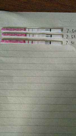 journal_insert_pic_804377345