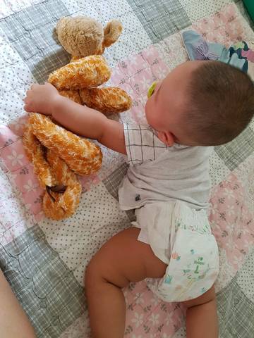journal_insert_pic_805397425
