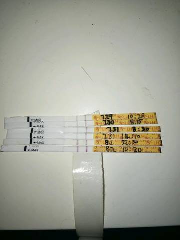 journal_insert_pic_805729692