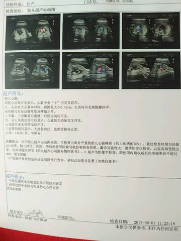 journal_insert_pic_806027461