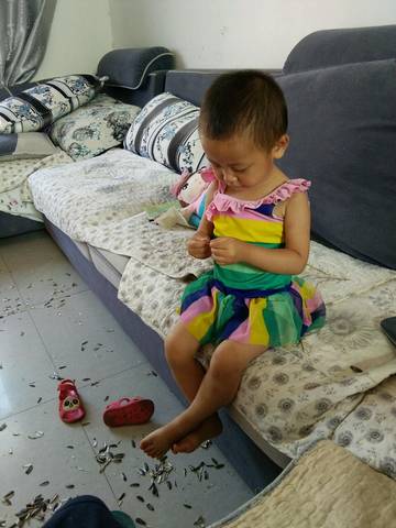 journal_insert_pic_806353588
