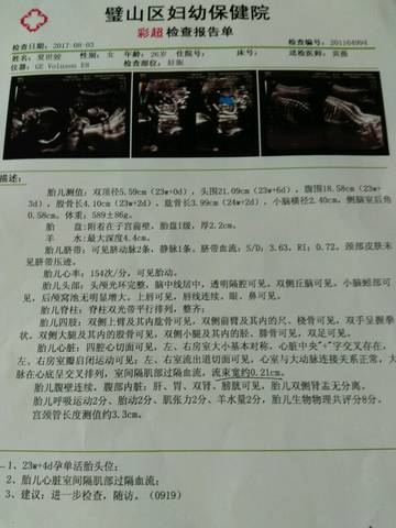 journal_insert_pic_806569010
