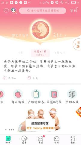 journal_insert_pic_806969553